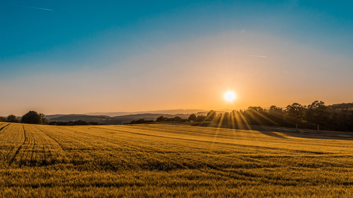 Minnesota farmland