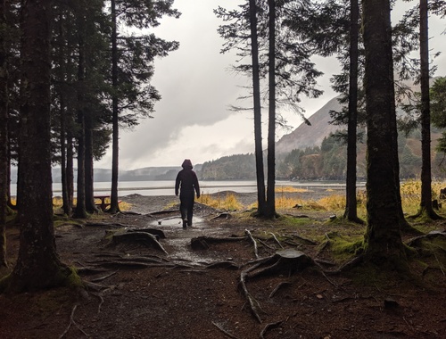 Meet Your Guide<br/>